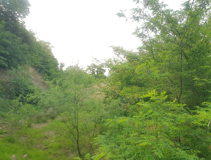 경상남도 사천시 송포동 산6-7 외 4필지 임야 경매 사진 17