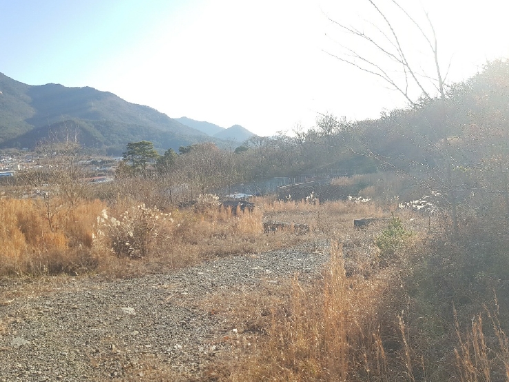 경상남도 사천시 송포동 산6-7 외 4필지 임야 경매 사진 3