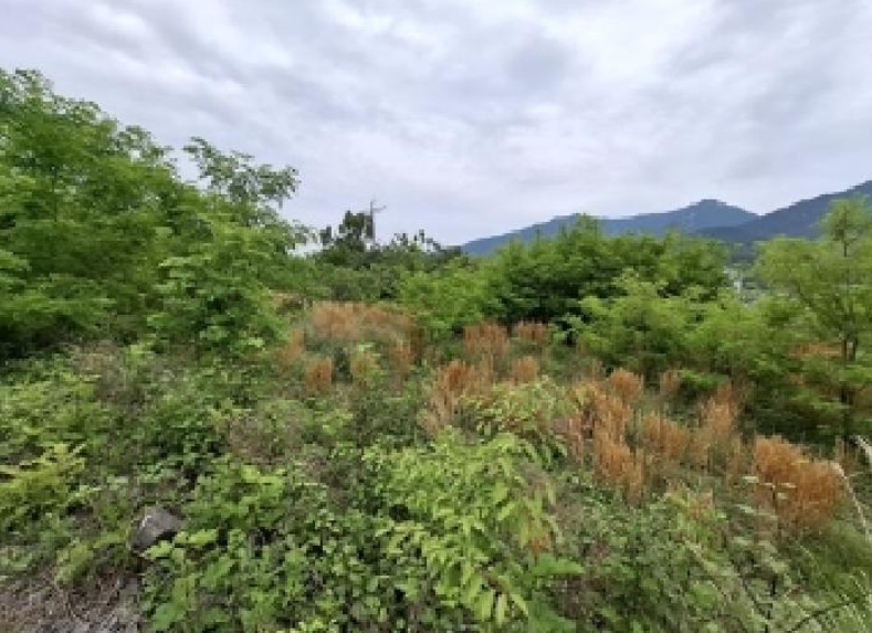 경상남도 사천시 송포동 산6-7 외 4필지 임야 경매 사진 22