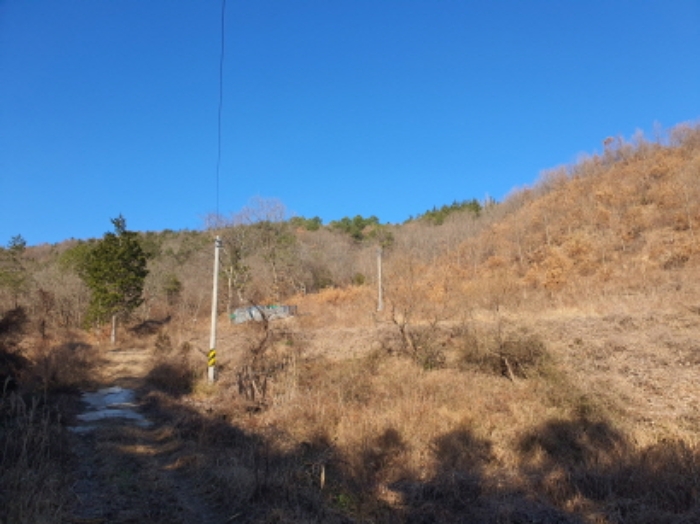 전라남도 장흥군 장흥읍 성불리 산110 임야 경매 사진 19