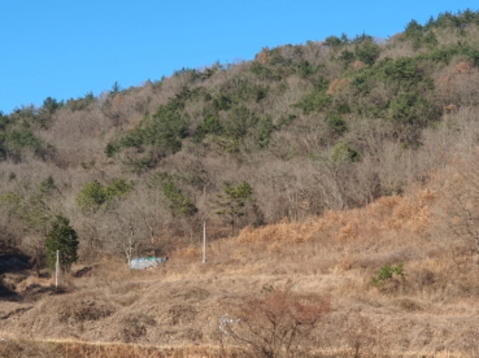 전라남도 장흥군 장흥읍 성불리 산110 임야 경매 사진 20