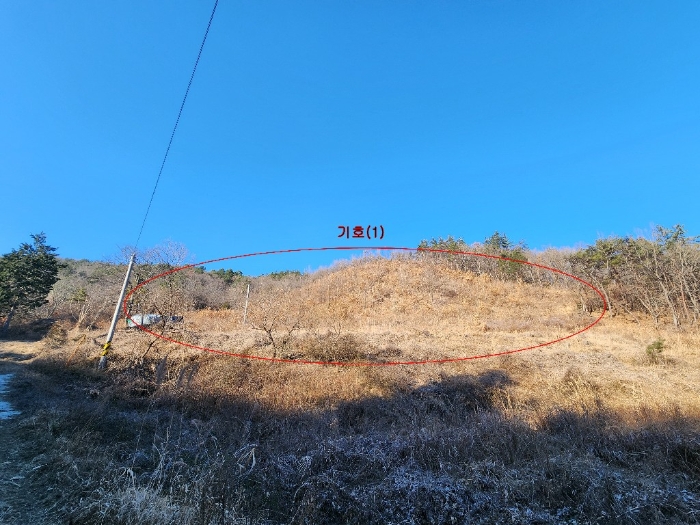 전라남도 장흥군 장흥읍 성불리 산110 임야 경매 사진 21