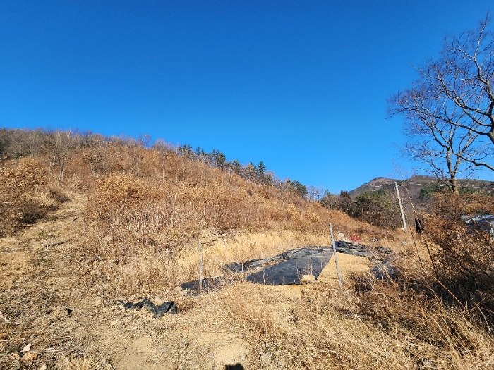 전라남도 장흥군 장흥읍 성불리 산110 임야 경매 사진 22