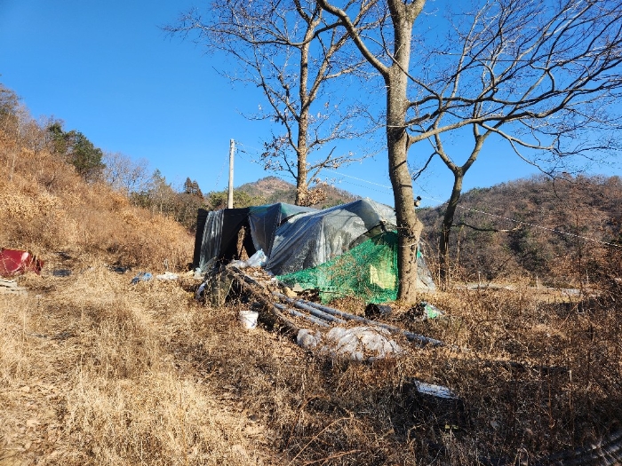 전라남도 장흥군 장흥읍 성불리 산110 임야 경매 사진 24