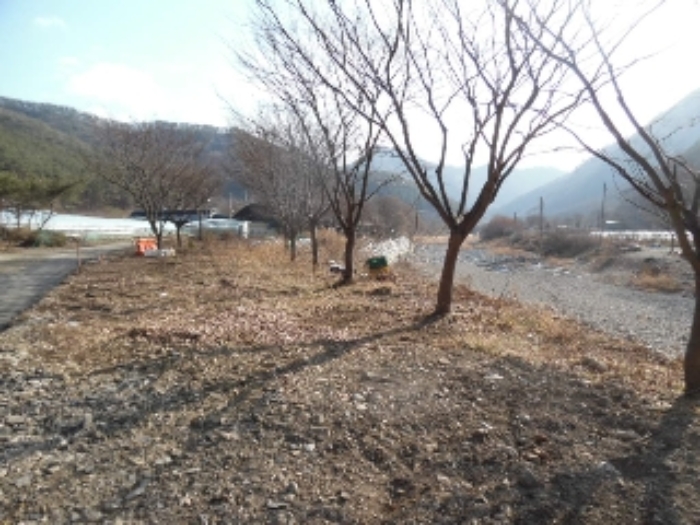 전북특별자치도 완주군 운주면 금당리 187 외 2필지 답 경매 사진 13