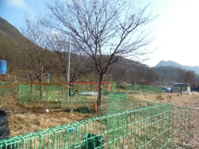 전북특별자치도 완주군 운주면 금당리 187 외 2필지 답 경매 사진 17