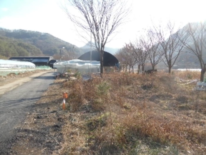 전북특별자치도 완주군 운주면 금당리 187 외 2필지 답 경매 사진 22
