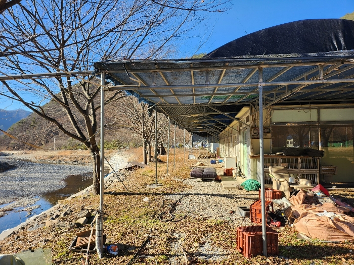 전북특별자치도 완주군 운주면 금당리 187 외 2필지 답 경매 사진 42