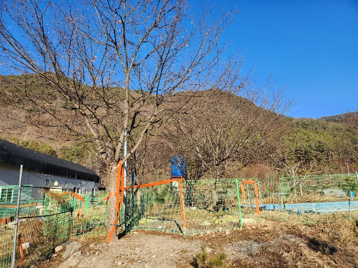 전북특별자치도 완주군 운주면 금당리 187 외 2필지 답 경매 사진 43