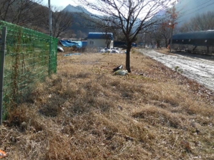 전북특별자치도 완주군 운주면 금당리 187 외 2필지 답 경매 사진 6