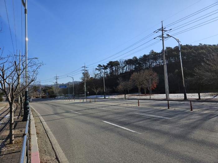 충청북도 충주시 대소원면 본리 1113 대지 경매 사진 12