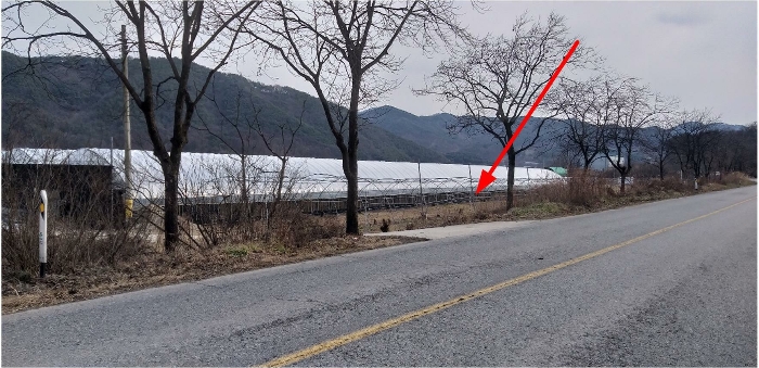 충청북도 영동군 매곡면 노천리 412-5 답 경매 사진 19