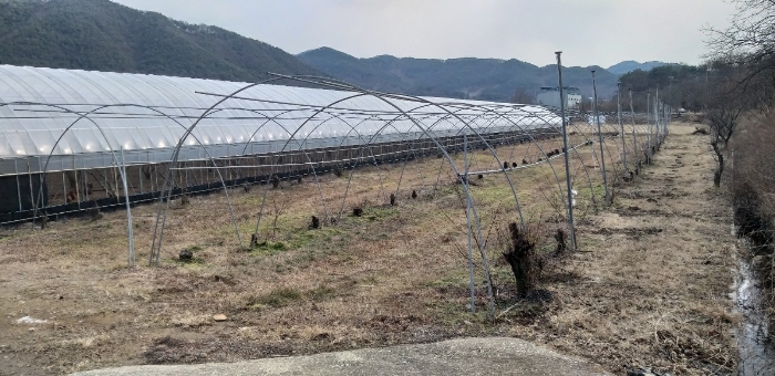 충청북도 영동군 매곡면 노천리 412-5 답 경매 사진 22