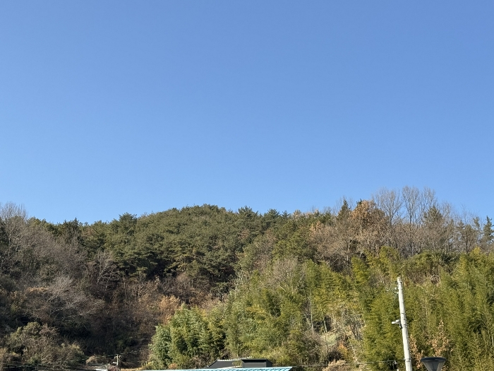 전라남도 순천시 옥천동 272 전 경매 사진 3