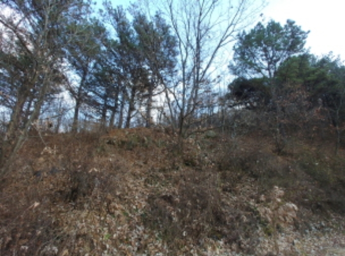 충청남도 금산군 제원면 수당리 355-2 외 12필지 전 경매 사진 19