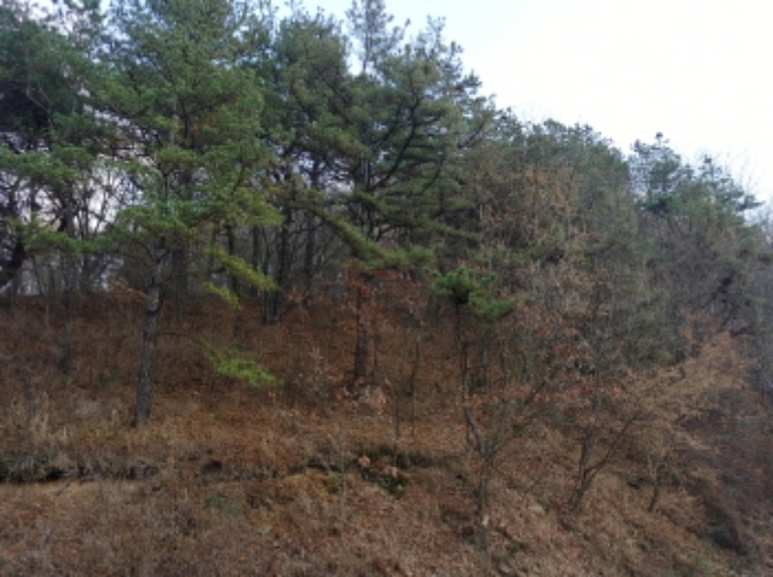 충청남도 금산군 제원면 수당리 355-2 외 12필지 전 경매 사진 20