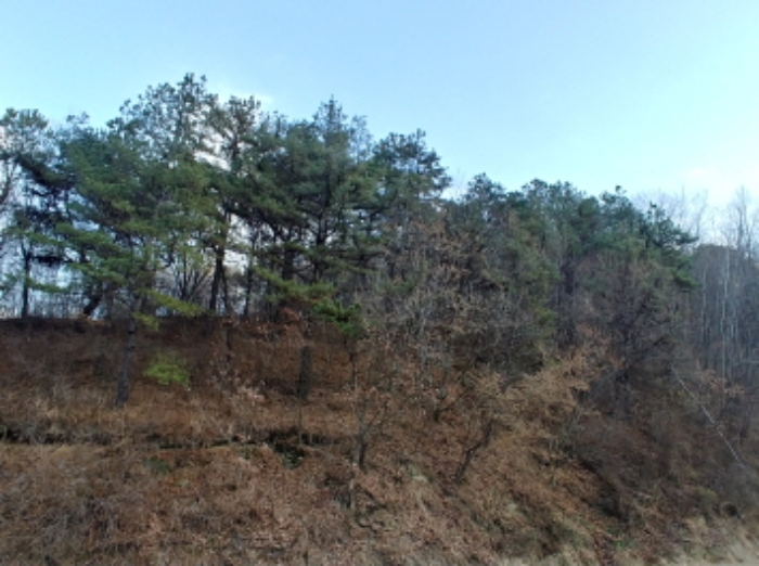 충청남도 금산군 제원면 수당리 355-2 외 12필지 전 경매 사진 21