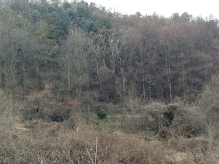 충청남도 금산군 제원면 수당리 355-2 외 12필지 전 경매 사진 28