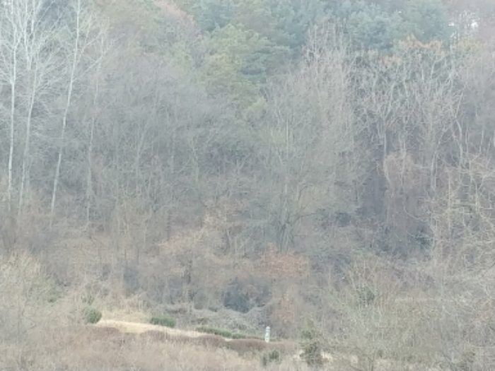 충청남도 금산군 제원면 수당리 355-2 외 12필지 전 경매 사진 29