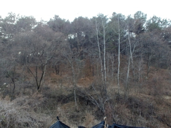 충청남도 금산군 제원면 수당리 355-2 외 12필지 전 경매 사진 33