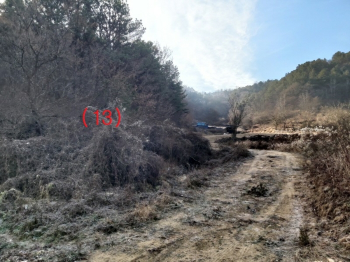 충청남도 금산군 제원면 수당리 355-2 외 12필지 전 경매 사진 38
