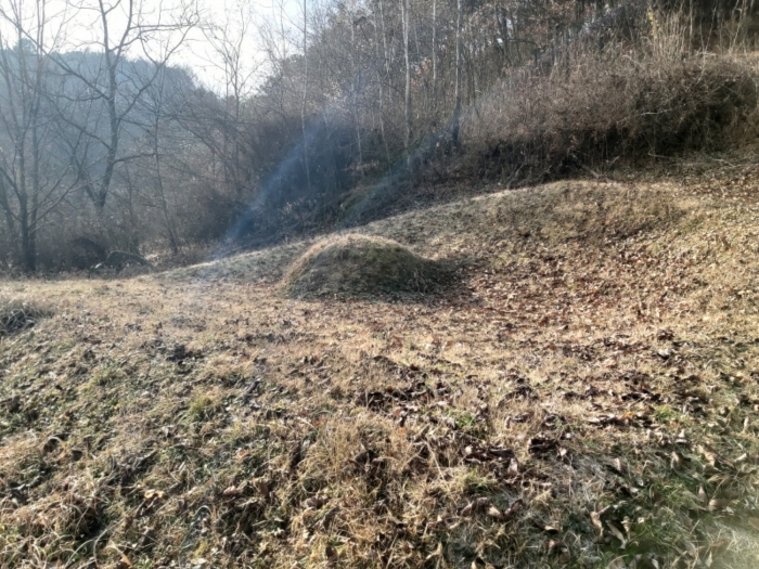 충청남도 금산군 제원면 수당리 355-2 외 12필지 전 경매 사진 40