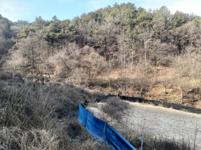충청남도 금산군 제원면 수당리 355-2 외 12필지 전 경매 사진 41