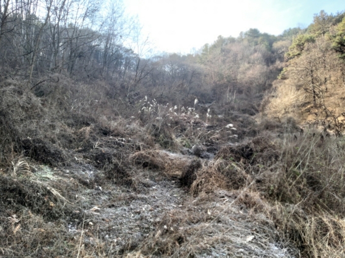 충청남도 금산군 제원면 수당리 355-2 외 12필지 전 경매 사진 42