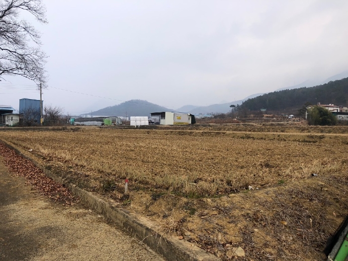 대구광역시 달성군 유가읍 도의리 568 외 1필지 답 경매 사진 5