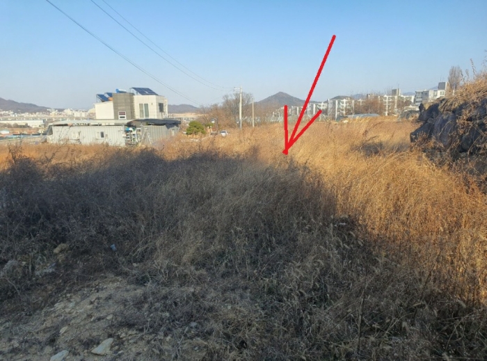 경상북도 칠곡군 북삼읍 어로리 427-5 외 39필지 답 경매 사진 53