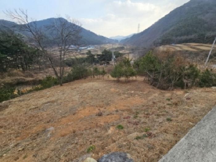 경상남도 산청군 단성면 운리 산98-49 외 1필지 임야 경매 사진 1
