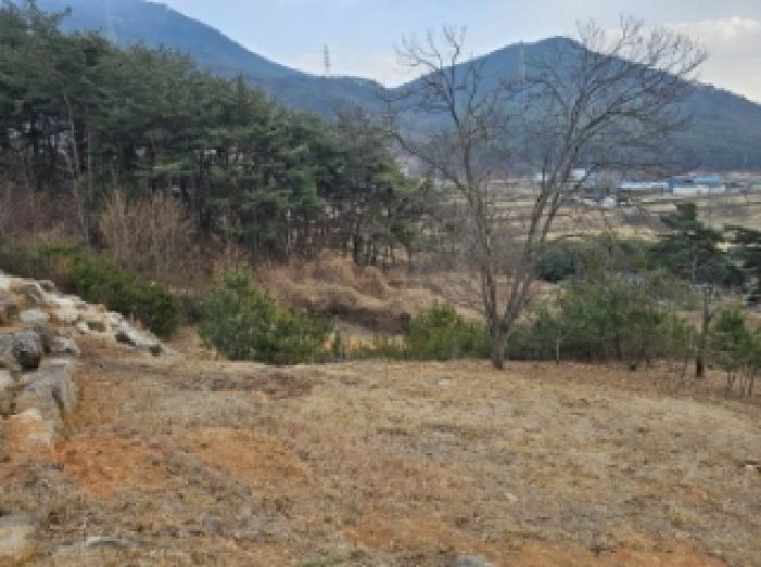 경상남도 산청군 단성면 운리 산98-49 외 1필지 임야 경매 사진 2