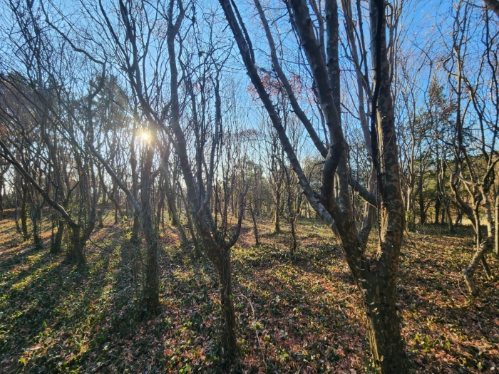 전라남도 고흥군 동강면 장덕리 533 전 경매 사진 87