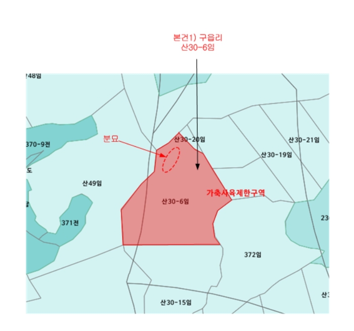 경기도 파주시 적성면 구읍리 산30-6 임야 경매 사진 28