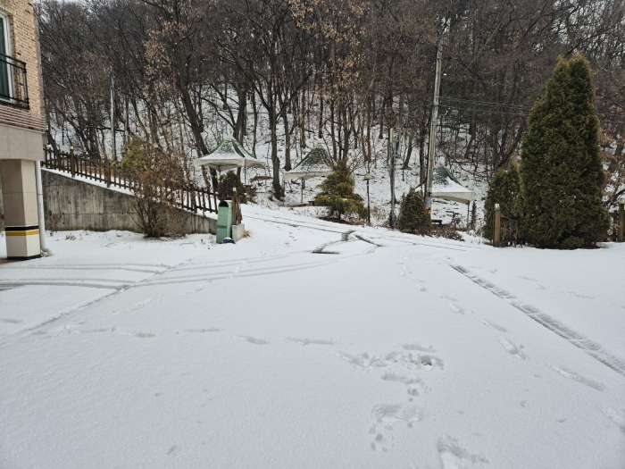 경기도 파주시 월롱면 능산리 407 외 10필지 다가구주택 경매 사진 81