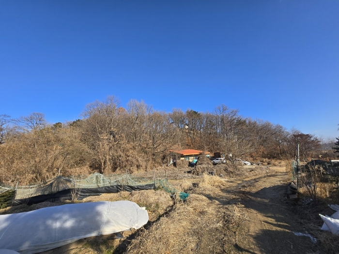 인천광역시 강화군 삼산면 석모리 306-1 외 3필지 전 경매 사진 10