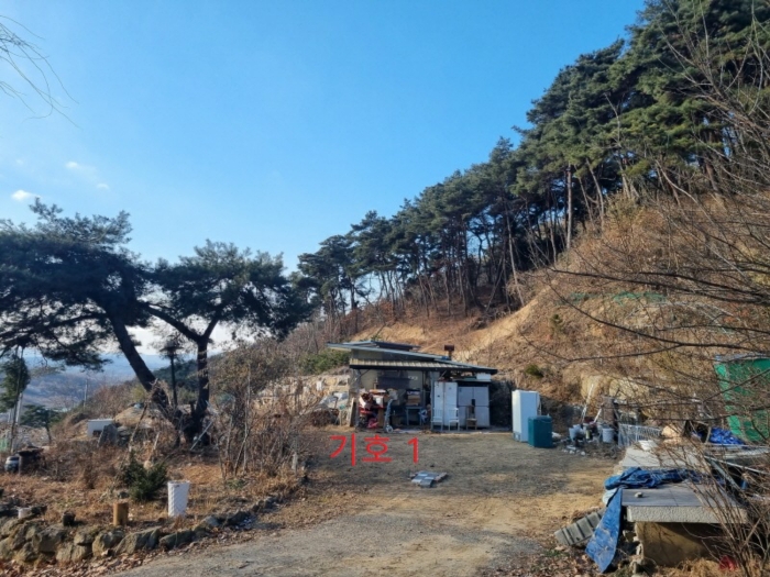 강원특별자치도 원주시 소초면 수암리 산17-4 외 2필지 목장용지 경매 사진 11