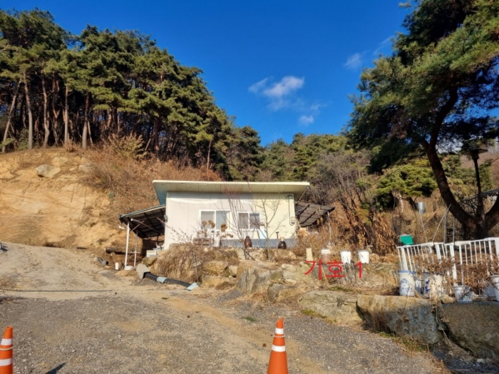 강원특별자치도 원주시 소초면 수암리 산17-4 외 2필지 목장용지 경매 사진 14