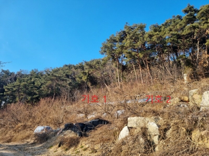 강원특별자치도 원주시 소초면 수암리 산17-4 외 2필지 목장용지 경매 사진 17
