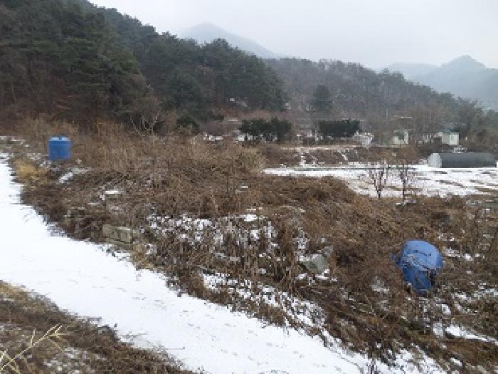 강원특별자치도 원주시 소초면 수암리 산17-4 외 2필지 목장용지 경매 사진 3