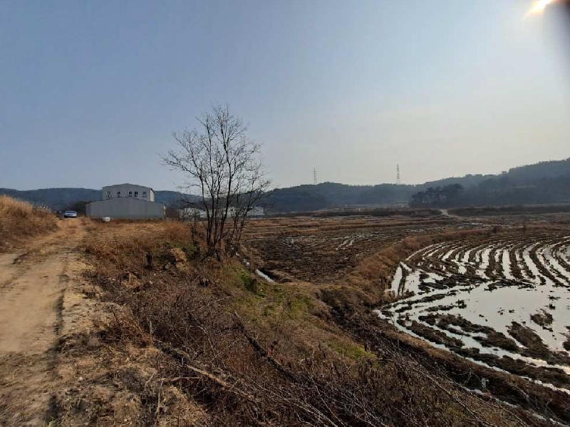 경상북도 경주시 천북면 모아리 1146-36 외 2필지 답 경매 사진 1