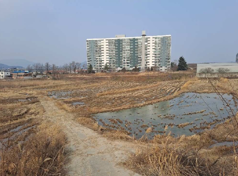 경상북도 경주시 천북면 모아리 1146-36 외 2필지 답 경매 사진 3