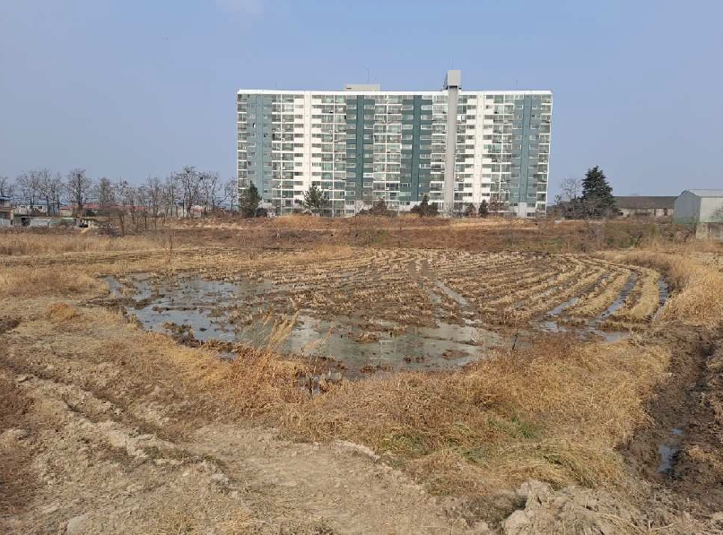 경상북도 경주시 천북면 모아리 1146-36 외 2필지 답 경매 사진 4