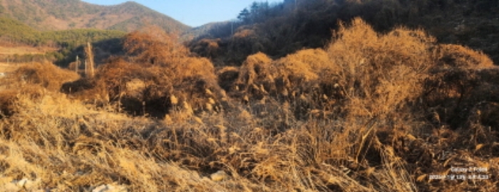 경상남도 고성군 동해면 장좌리 809 외 3필지 답 경매 사진 1