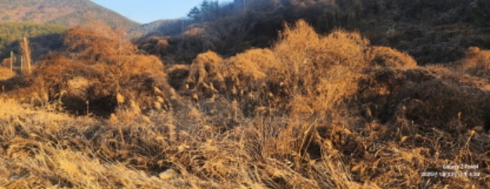 경상남도 고성군 동해면 장좌리 809 외 3필지 답 경매 사진 2