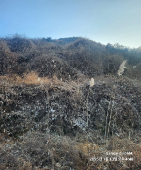 경상남도 고성군 동해면 장좌리 809 외 3필지 답 경매 사진 12