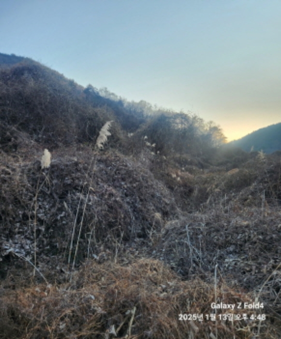 경상남도 고성군 동해면 장좌리 809 외 3필지 답 경매 사진 13