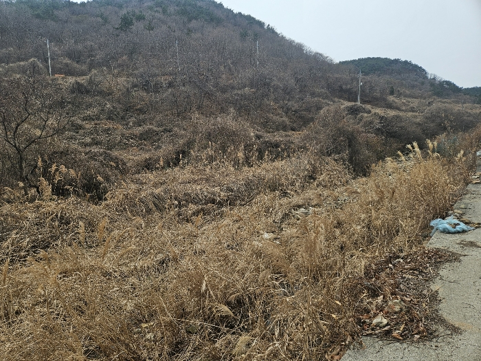 경상남도 고성군 동해면 장좌리 809 외 3필지 답 경매 사진 17