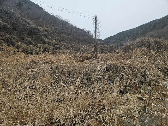경상남도 고성군 동해면 장좌리 809 외 3필지 답 경매 사진 20