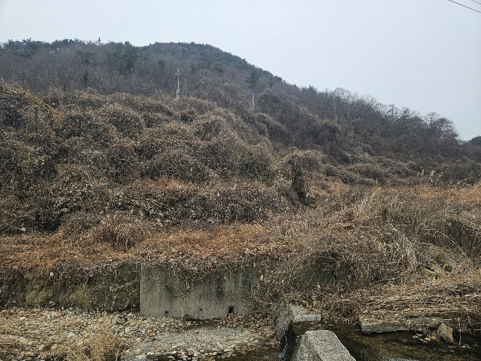 경상남도 고성군 동해면 장좌리 809 외 3필지 답 경매 사진 21